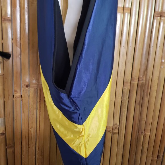Master's Regalia Hood Blue and Gold Master of Arts - Picture 2 of 10